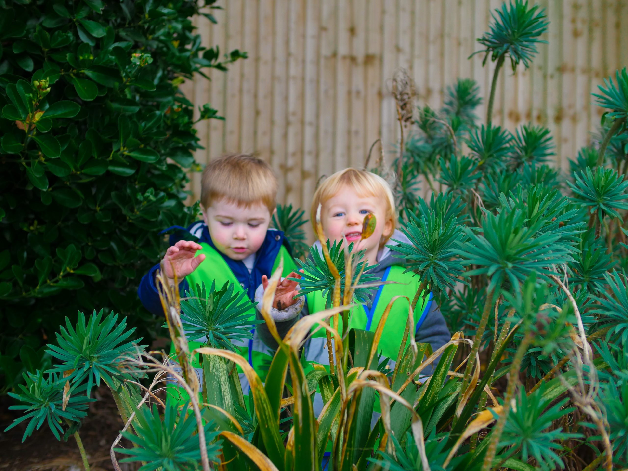 Children playing in park