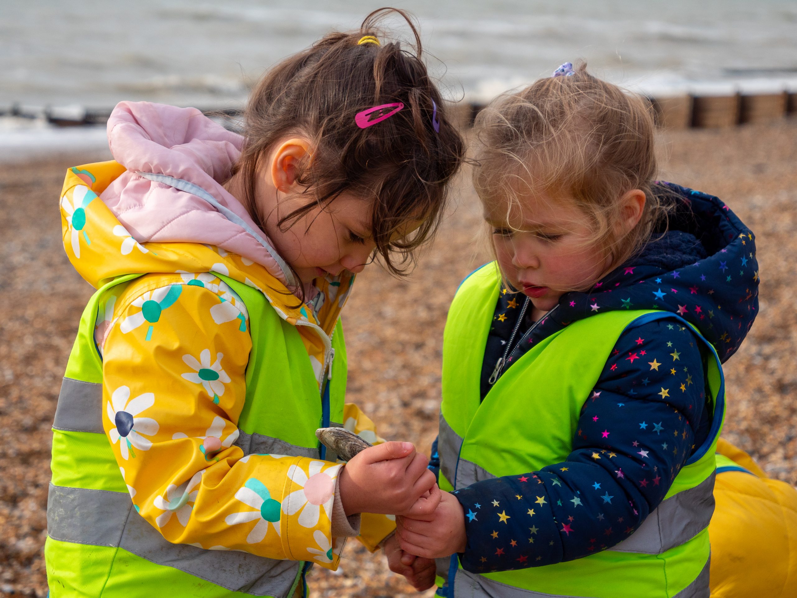 Two children looking at shells