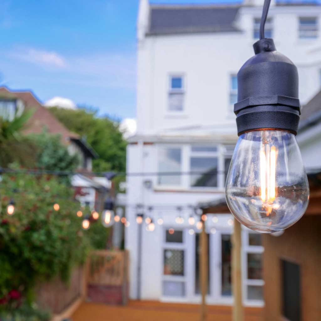close up of lightbulb in hove village nursery garden